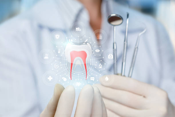 Best Wisdom Tooth Removal  in Exander City, AL